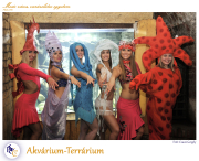 PTE Táncegyüttes - Akvárium-Terrárium