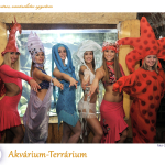 PTE Táncegyüttes - Akvárium-Terrárium