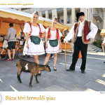 Bélyegkép