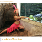 PTE Táncegyüttes - Akvárium-Terrárium