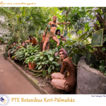 PTE Táncegyüttes - PTE Botanikus Kert-Pálmaház