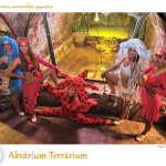 PTE Táncegyüttes - Akvárium-Terrárium