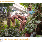 PTE Táncegyüttes - PTE Botanikus Kert-Pálmaház