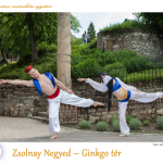Bélyegkép