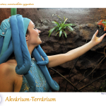 PTE Táncegyüttes - Akvárium-Terrárium
