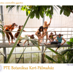 PTE Táncegyüttes - PTE Botanikus Kert-Pálmaház